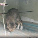 조준농장 이미지