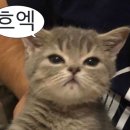 안국안경 이미지