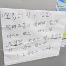 해바라기분식&식당 | 제주도 제주시 맛집 | 제주 탑동 근처 풍자 또간집 1위 신해바라기분식 순두부 솔직 후기