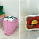 베스트성모정형외과의원 이미지