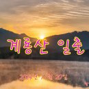 계룡산 일출 이미지