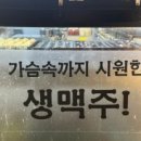 타코폭탄