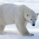 영어와 Craft 이미지