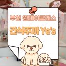 원미로65번길 | 부천원데이클래스 부천수제간식 부천강아지케이크 간식주까Yes