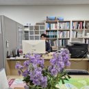 비발디조현욱공인중개사사무소 이미지