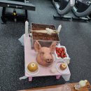 바른피티샵 이미지