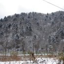 서종체육공원 이미지