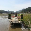 창촌2리 이미지