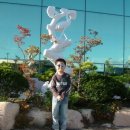 울산테마식물수목원 Daum카페