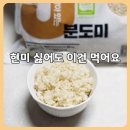 두레마을 | 현미 대신 선택한 건강한 쌀 오분도미, 맛과 밥짓기 방법까지 | 김제두레마을 오분도미 후기