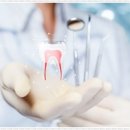 가정백세플란트치과의원 이미지