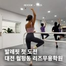 성인발레핏(야) | [대전/월평동] 리즈무용학원 성인발레핏 후기