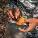 황금낚시 이미지