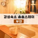 송송 스테이 | 부안 숙소 송송스테이에서 감성 넘치는 촌캉스를 즐기고 오다