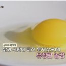 태현농장 네이버블로그