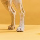 토평동물병원 이미지