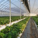 만봉농장 이미지