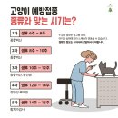 금왕동물병원 이미지