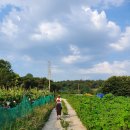 스포츠 아이 수영장 이미지