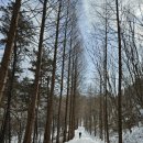 죽림삼거리 | 계족산 산신제길, 눈길따라 - 대전 걷기