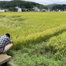 교가리(교가3리) 이미지