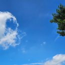 월평 사이클장 이미지