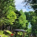 호수가에풍경가든 이미지