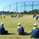 함평공설운동장 이미지