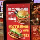 [블챌] 체크인 챌린지#1 오늘의 하루: 엽떡+롯데리아 신메뉴 불고기 익스트림 오징어 버거(20230715)
