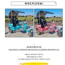 대일카서비스 | 우도 전기차 [우도 전동차 렌트] 내돈내산 후기