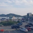 팔미도해물찜 이미지