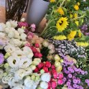 지니플레르 | [인덕원꽃집 썸머플레르] 오픈 6일차 근황
