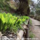 연산동고분군 이미지