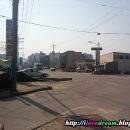 태성동물병원 이미지