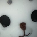 구일리프트 | 여자는 뭐다? 자신감!