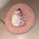 그레이하운드(주) 이미지