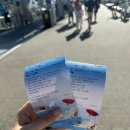 실버투어 | 호주 신혼여행 케언즈 그레이트 배리어 리프.. 행복했다..(줌줌투어 실버스위프트 후기)