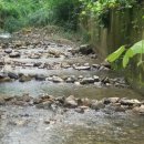 삼겹파티 이미지