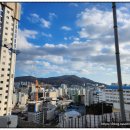 양지비전센터 이미지