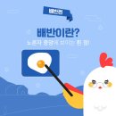 흥하농장 네이버블로그