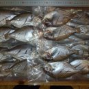 오늘의 생선 이미지