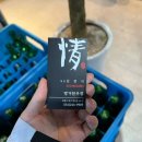 한우정 이미지