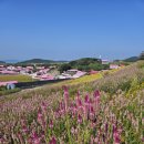 핑크빛 순례자의 길, 병풍도-기점도 풍경 이미지