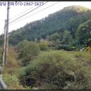 오리개윗골천 이미지