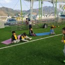 갈말풋살장 이미지