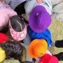 성분도어린이집 이미지