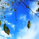 연천읍-5 이미지