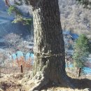 고향어탕국수 이미지