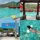 통일로 수영장 | 북한산천연옥워터파크 평일 후기 : 고양시 파주 통일로 수영장 준비물