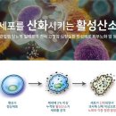 희룸 이미지